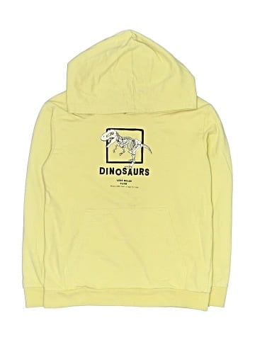 LC Waikiki Pullover Hoodie (view 1)