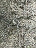 Cuyana Black Active Pants Size Med - Lg - photo 8