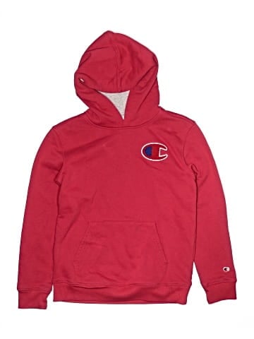 Champion Pullover Hoodie (view 1)