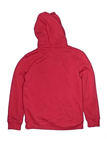 Champion Pullover Hoodie (view 2)