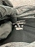 Champion 100% Polyester Black Athletic Shorts Size M - photo 3