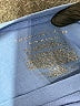 Tommy Hilfiger Blue Short Sleeve T-Shirt Size 10 - 12 - photo 4