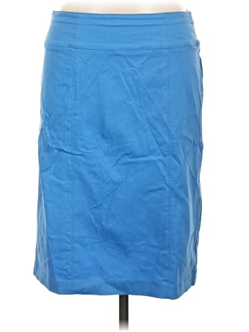 Kim Rogers Casual Skirt (view 1)