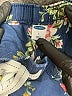Old Navy 100% Cotton Floral Blue Shorts Size L - photo 3