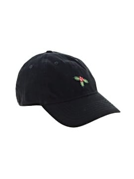 J.Crew Baseball Cap (view 1)