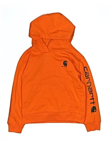 Carhartt Pullover Hoodie (view 1)