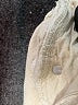 Zara Ivory Tan Jeans Size 4 - photo 8
