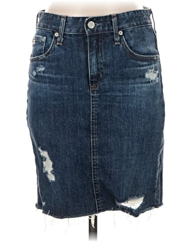 Adriano Goldschmied Denim Skirt (view 1)