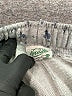 Needle & Thread Hearts Gray Sweatpants Size 1X - photo 4