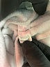Shein 100% Polyester White Sweatshirt Size 4 - photo 8