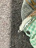Pilcro and the Letterpress Hearts Blue Jeans Size 26 waist - photo 5