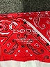 Bebe Sport Paisley Red Board Shorts Size L - photo 3