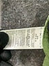 Gap Outlet Solid Green Khaki Shorts Size 8 - photo 4