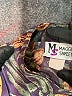 Maggie Sweet Paisley Brown Jacket Size XL - photo 7