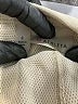 Athleta Solid Green Skort Size 4 - photo 3