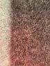 PETER MILLAR Solid Purple Skort Size L - photo 5