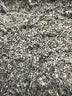 Primark 100% Polyester Paisley Blue Casual Skirt Size 8 - photo 5