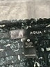 Aqua 100% Polyester Paisley Black Casual Skirt Size M - photo 4