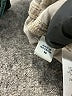 J.Jill Gray Casual Pants Size 10 - photo 7