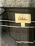 Deletta 100% Rayon Black Tank Top Size M - photo 7
