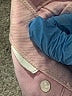 Zara Pink Jeans Size 4 - photo 8