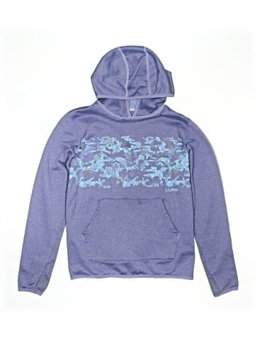 L.L.Bean Pullover Hoodie (view 1)