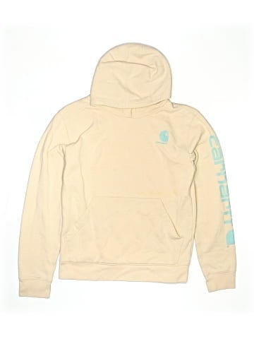 Carhartt Pullover Hoodie (view 1)