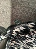 Express 100% Polyester Black Cocktail Dress Size M (petite) - photo 7
