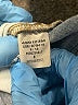 Ann Taylor Blue Jeans Size 0 - photo 8