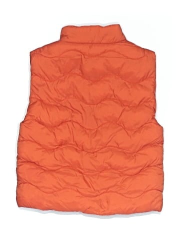 Mayoral Vest (view 2)