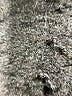 Lulu Gray Jacket Size 2 - photo 6