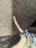 Free People Blue Bodysuit Size XS - photo 6