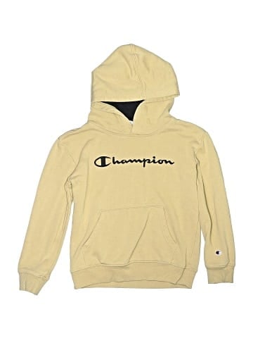 Champion Zip Up Hoodie (view 1)
