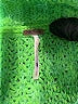Free People Green Turtleneck Sweater Size S - photo 7