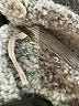 Free People Gray Turtleneck Sweater Size XS - photo 8