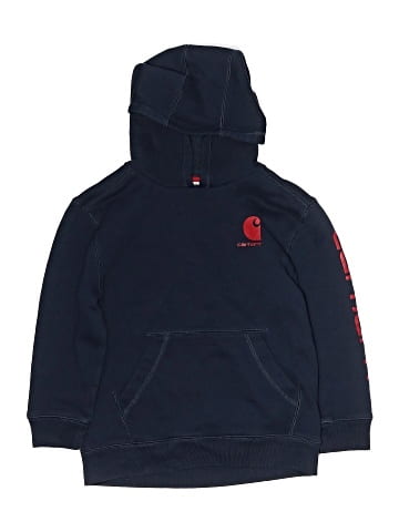 Carhartt Pullover Hoodie (view 1)