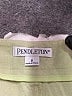 Pendleton Solid Green Khaki Shorts Size 8 - photo 3