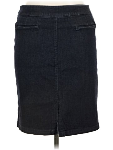 Talbots Denim Skirt (view 2)