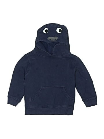 Gymboree Pullover Hoodie (view 1)