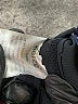 VERTIGO Black Active Pants Size 24 waist - photo 9