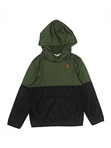 Reebok Pullover Hoodie (view 1)
