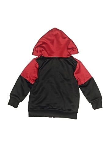 Champion Jacket (view 2)
