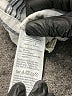 Madewell Stripes Silver Linen Pants Size 2 - photo 4