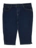 d.jeans Blue Denim Shorts Size 16 (petite) - photo 1