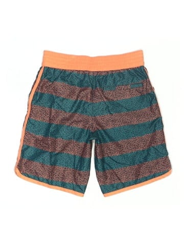 Gymboree Rash Guard (view 2)