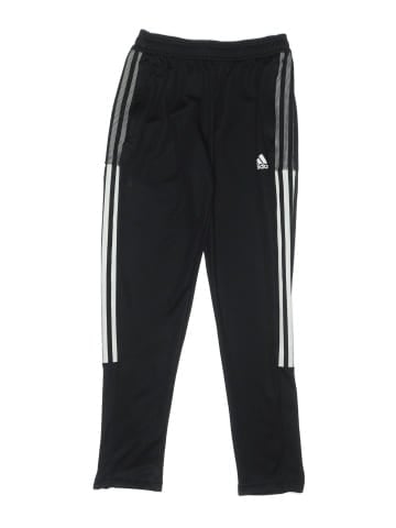 Adidas Track Pants (view 1)