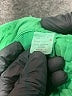 Crewcuts 100% Cotton Solid Green Shorts Size 6 - photo 4