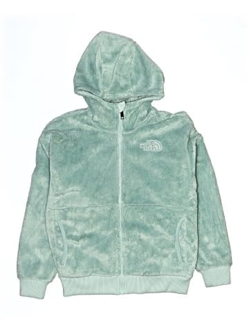 The North Face Zip Up Hoodie (view 1)