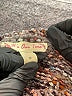 It's Our Time 100% Polyester Tweed Brown Pullover Sweater Size M - photo 7