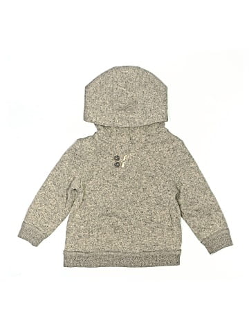 Genuine Kids from Oshkosh Pullover Hoodie (view 1)